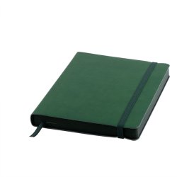 Ежедневник датированный на 2022 год Shady, А5,  зеленый, кремовый блок, темно-зеленый обрез (зеленый)