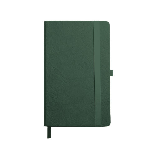 Ежедневник недатированный Starry , формат А5, в клетку (зеленый)