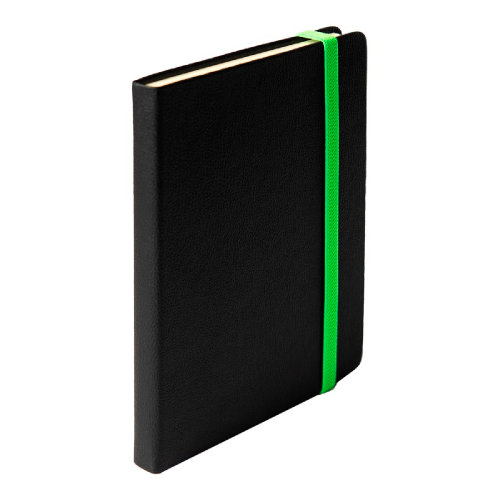Ежедневник недатированный Ray, формат А5, в клетку (черный, зеленый)