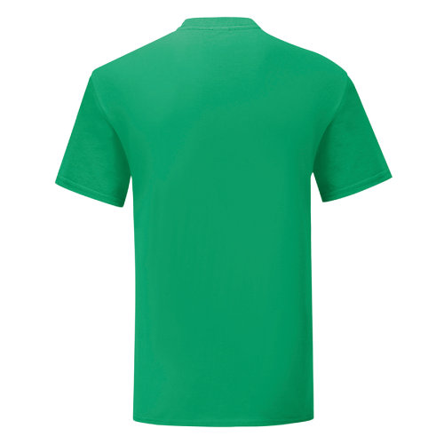Футболка мужская ICONIC 150 (зеленый)