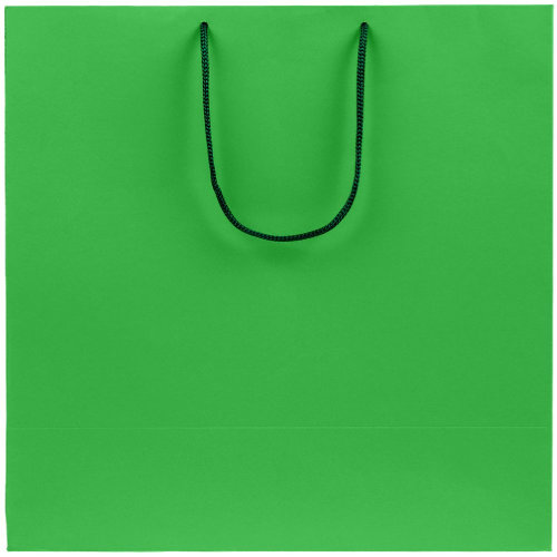 Пакет бумажный Porta L, зеленый