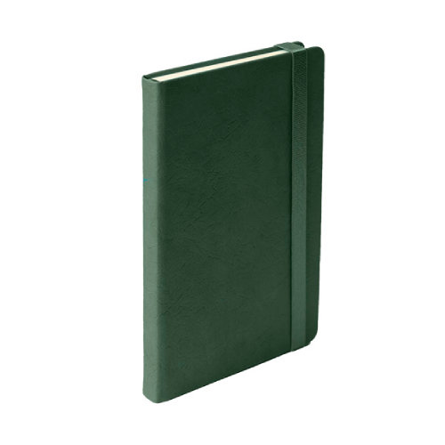 Ежедневник недатированный Starry , формат А5, в клетку (зеленый)