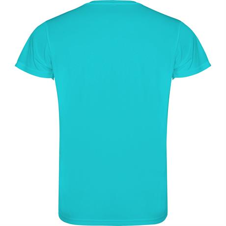 Спортивная футболка CAMIMERA мужская, БИРЮЗОВЫЙ 3XL